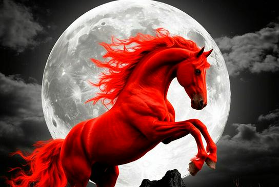 Ardiente, rojo y hermoso